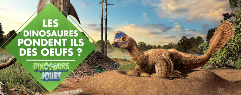 Les dinosaures pondent ils des œufs?