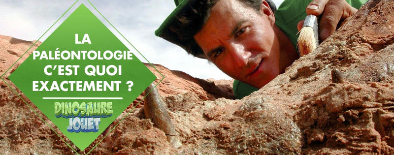 la paléontologie c'est quoi?