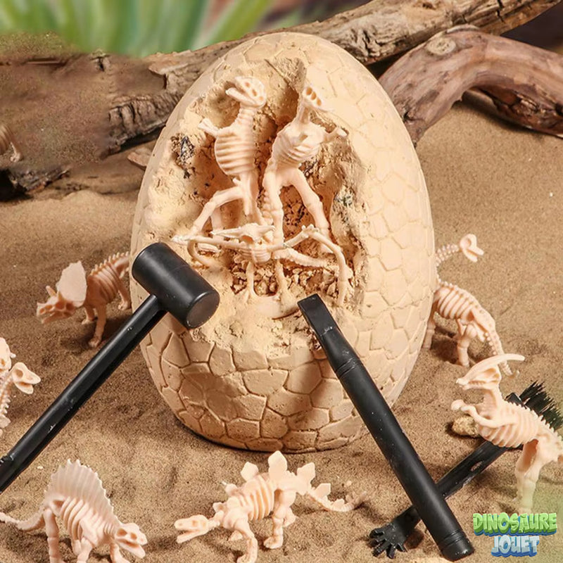 Assemblage Dinosaure avec son œuf