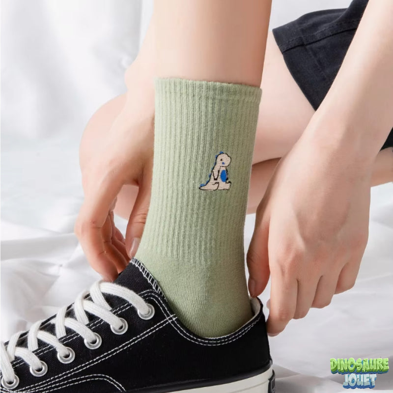 Chaussette motif Dinosaure