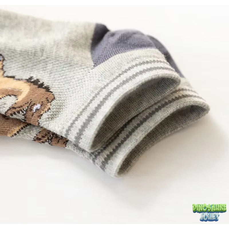 Chaussettes Dinosaure enfant