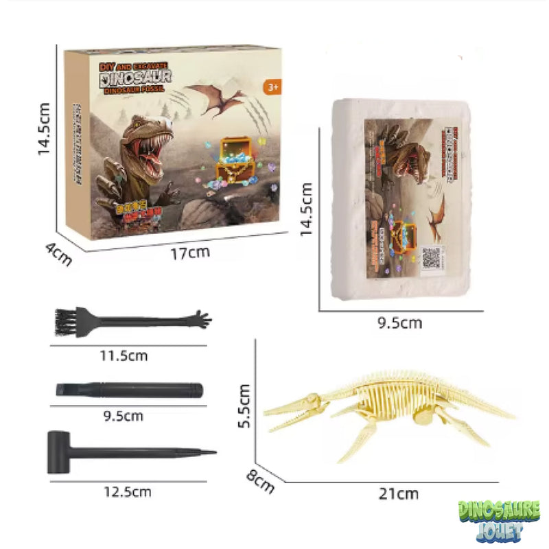 Dino excavation kit pliosaurus