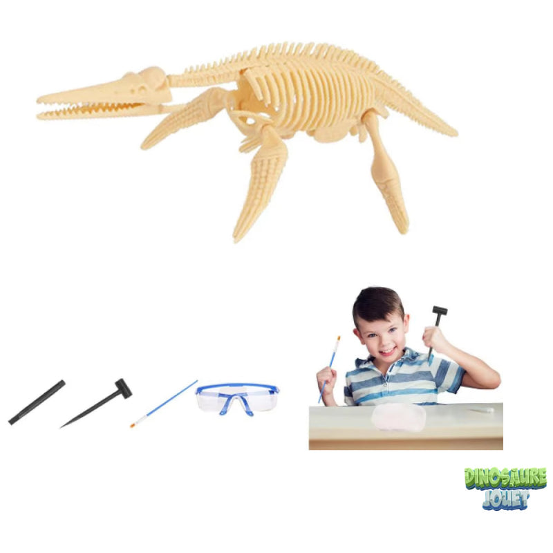 Dino excavation kit pliosaurus