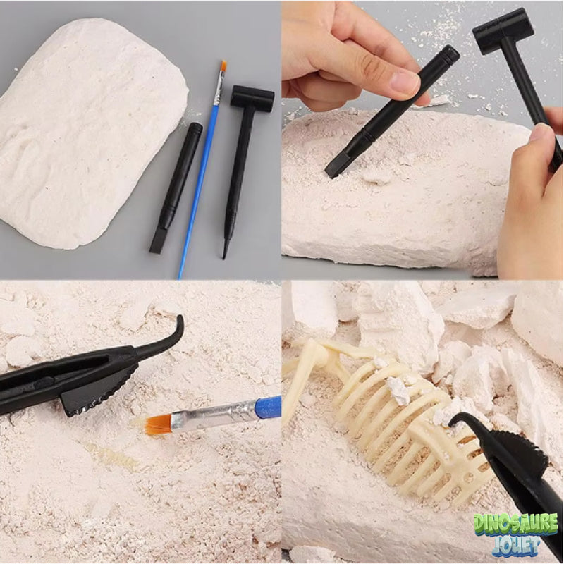 Dino excavation kit pliosaurus