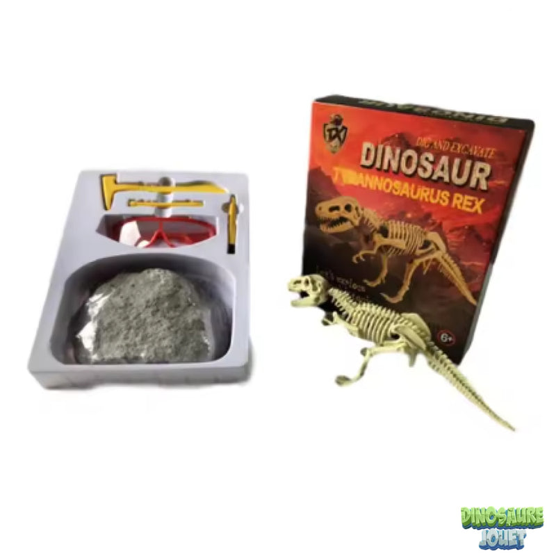 Dino excavation kit T-rex