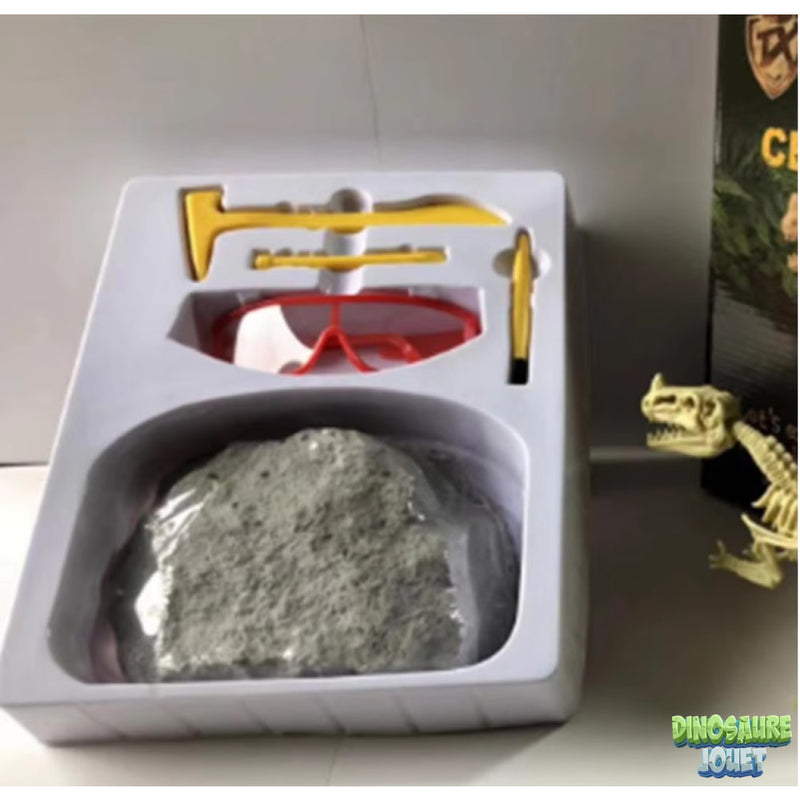 Dino excavation kit T-rex