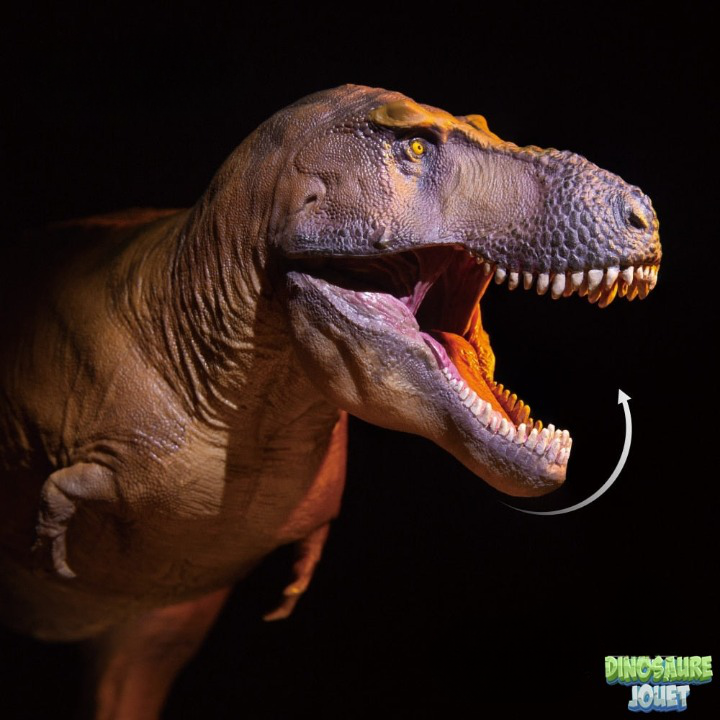 Dinosaure figurine collection T.rex