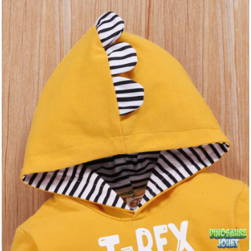 Ensemble bébé Dinosaure