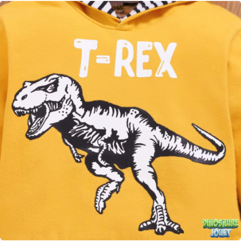 Ensemble bébé Dinosaure