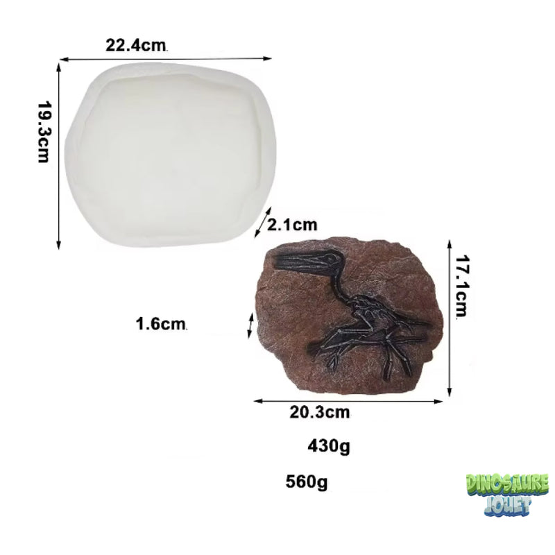Moule empreinte Dinosaure