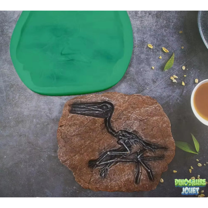 Moule empreinte Dinosaure