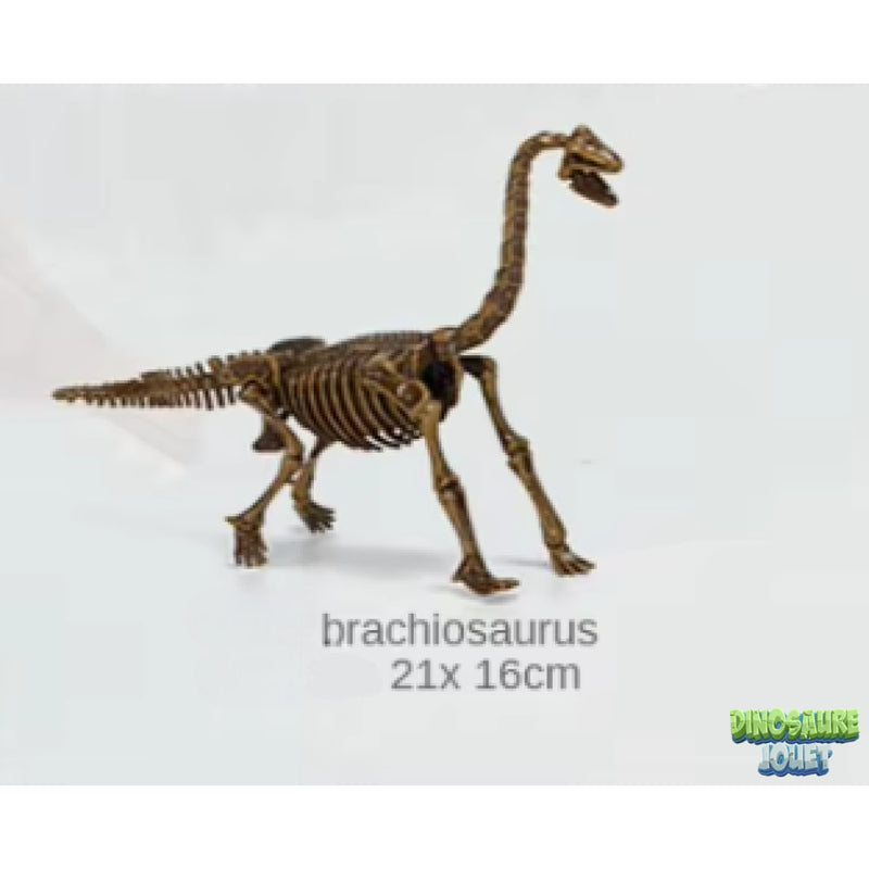 Squelette de Diplodocus à déterrer