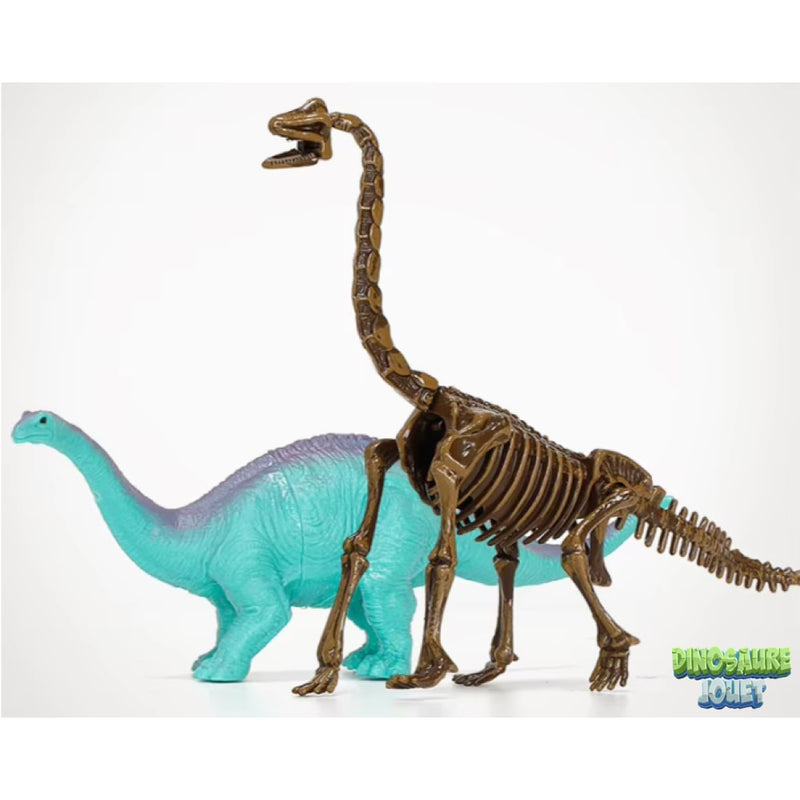 Squelette de Diplodocus à déterrer