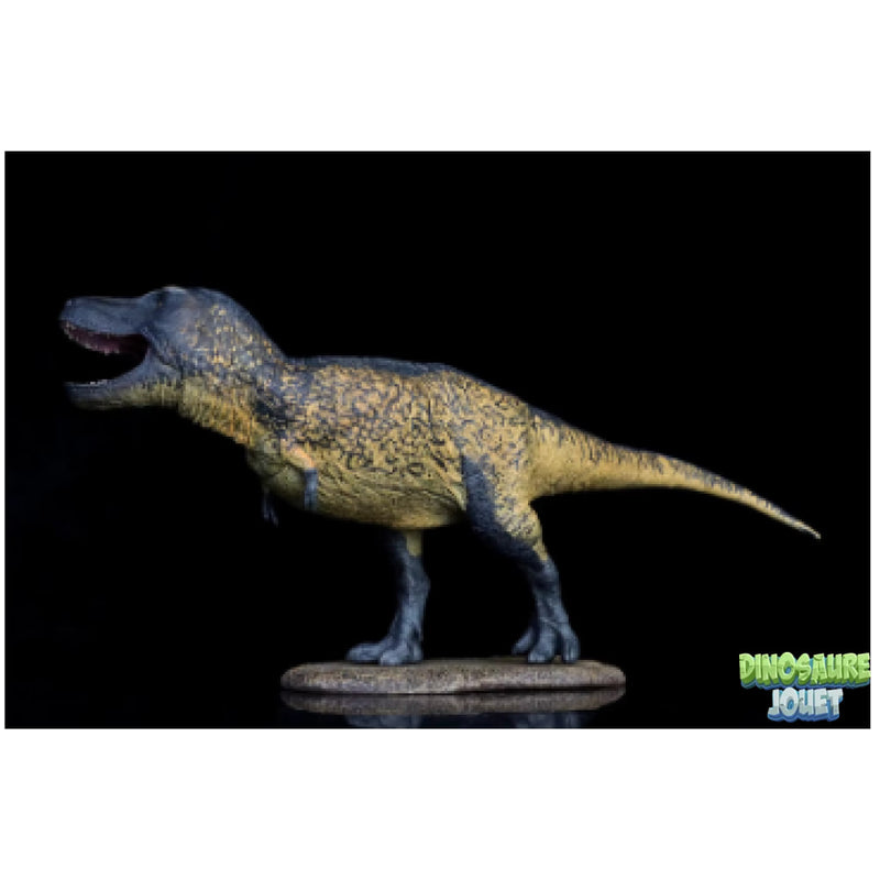 Statue Dinosaure resine T-Rex