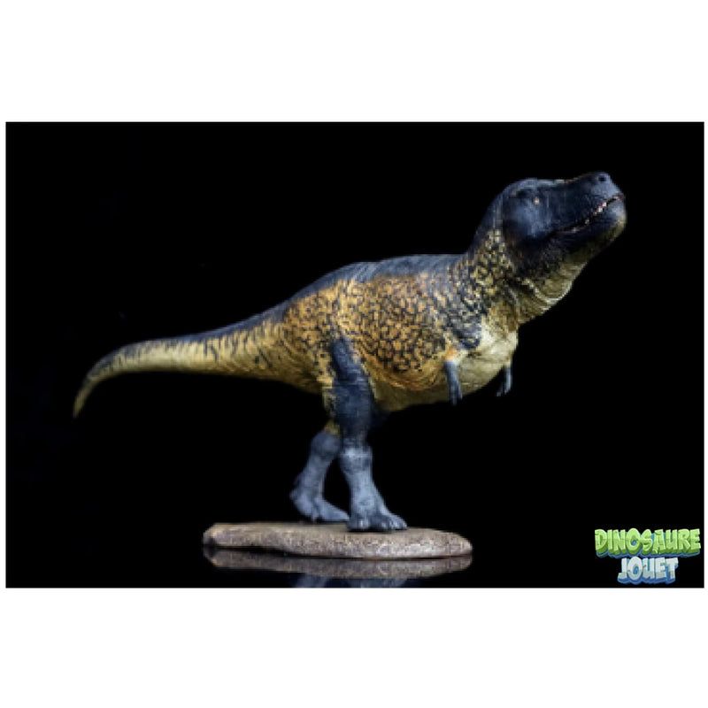 Statue Dinosaure resine T-Rex
