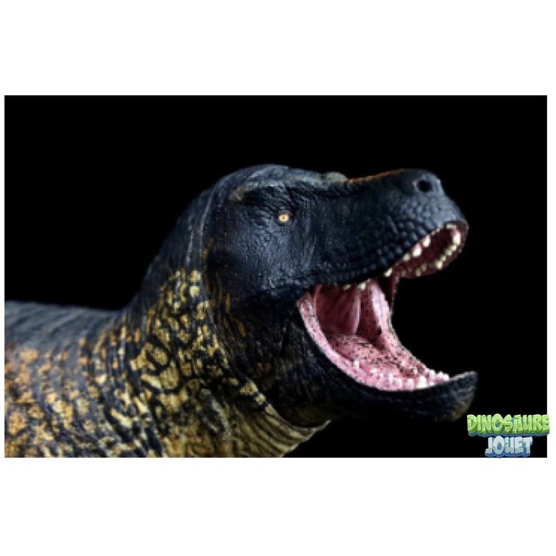 Statue Dinosaure resine T-Rex