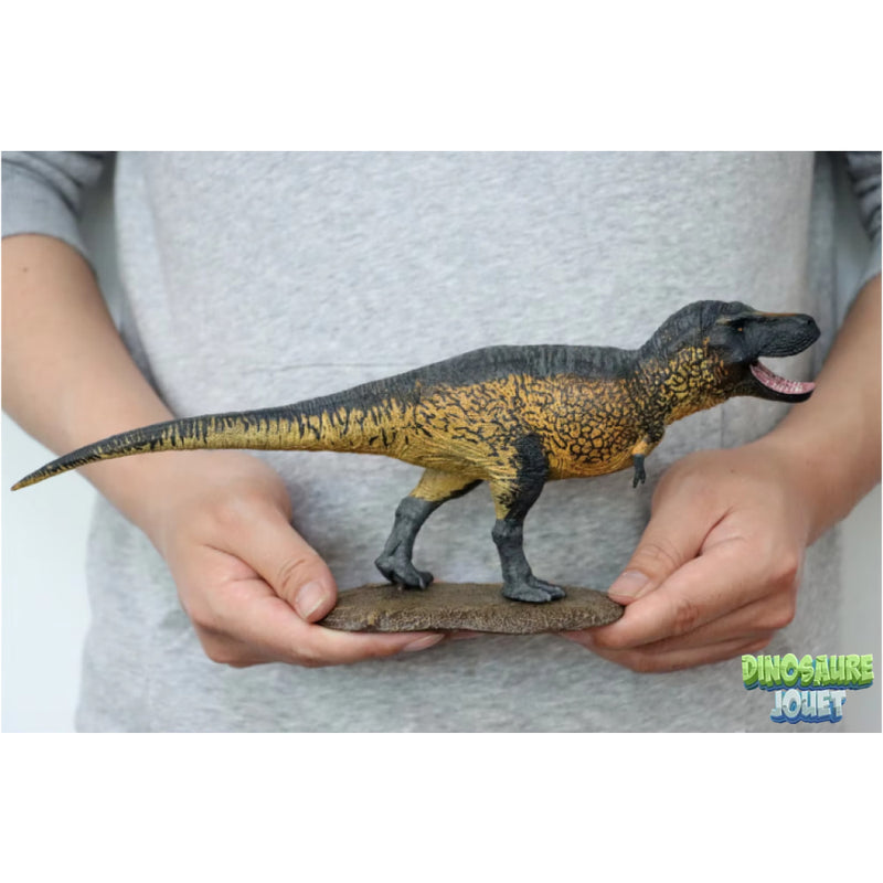 Statue Dinosaure resine T-Rex