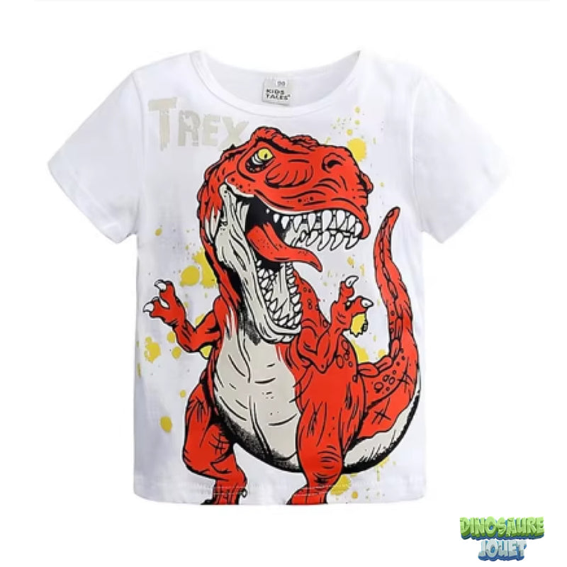 Tee shirt garcon 8 ans Dinosaure