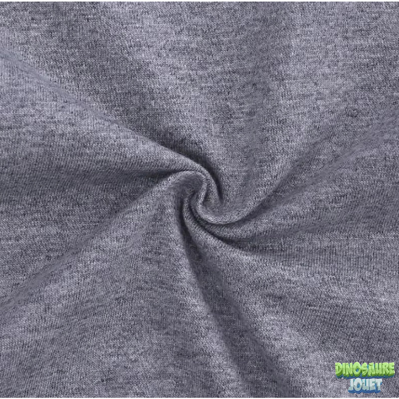 Tee shirt manche longue T-rex