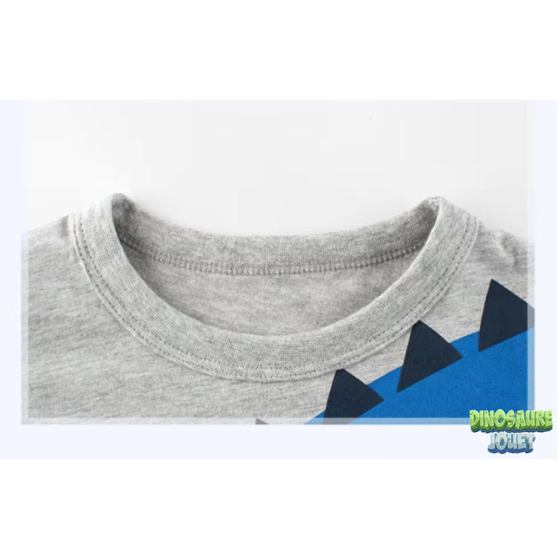 Tee shirt manches courtes garcon Dinosaure