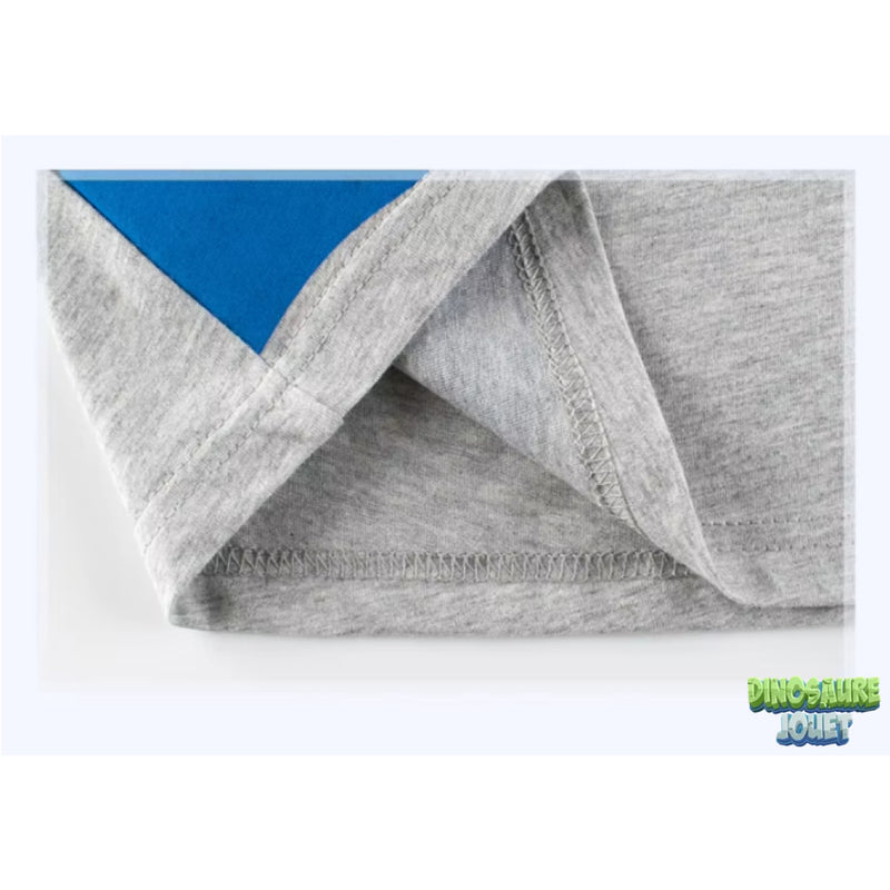 Tee shirt manches courtes garcon Dinosaure