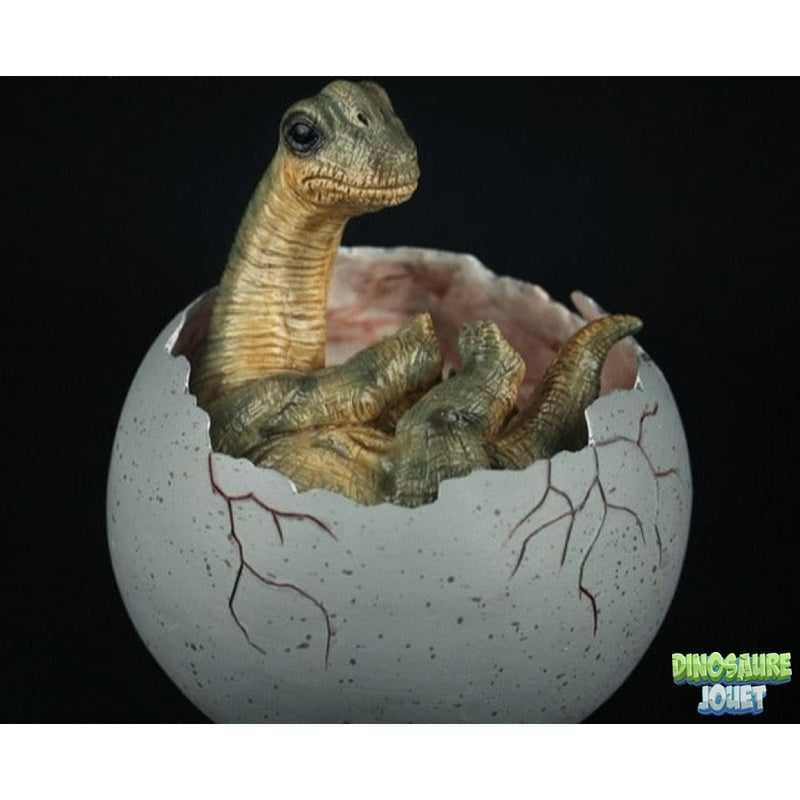 Brachiosaure oeuf