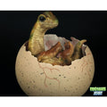 Brachiosaure oeuf