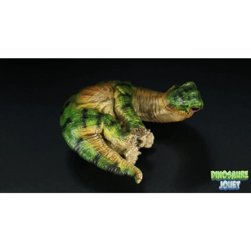 Brachiosaure oeuf