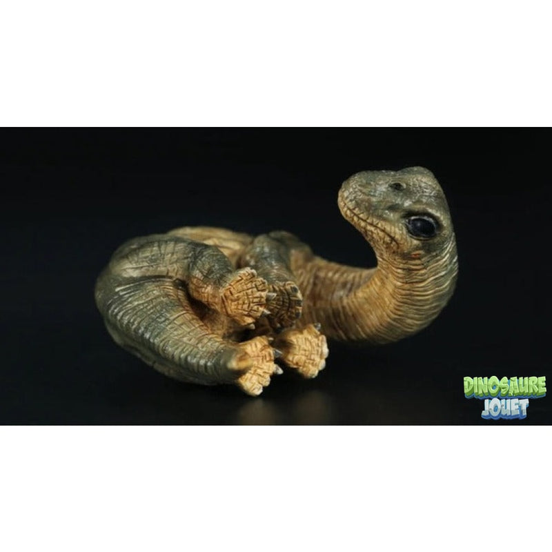 Brachiosaure oeuf