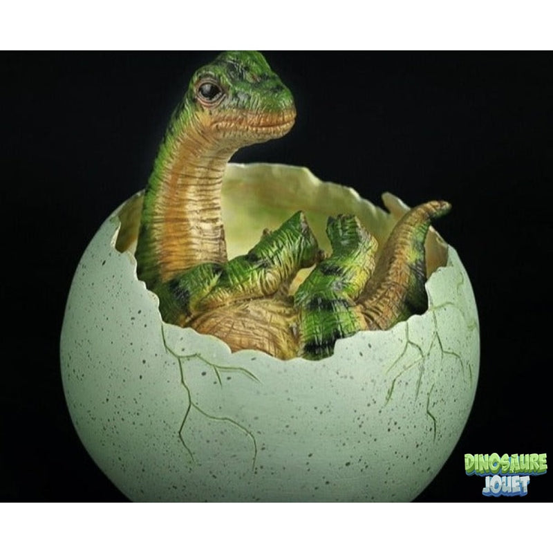 Brachiosaure oeuf