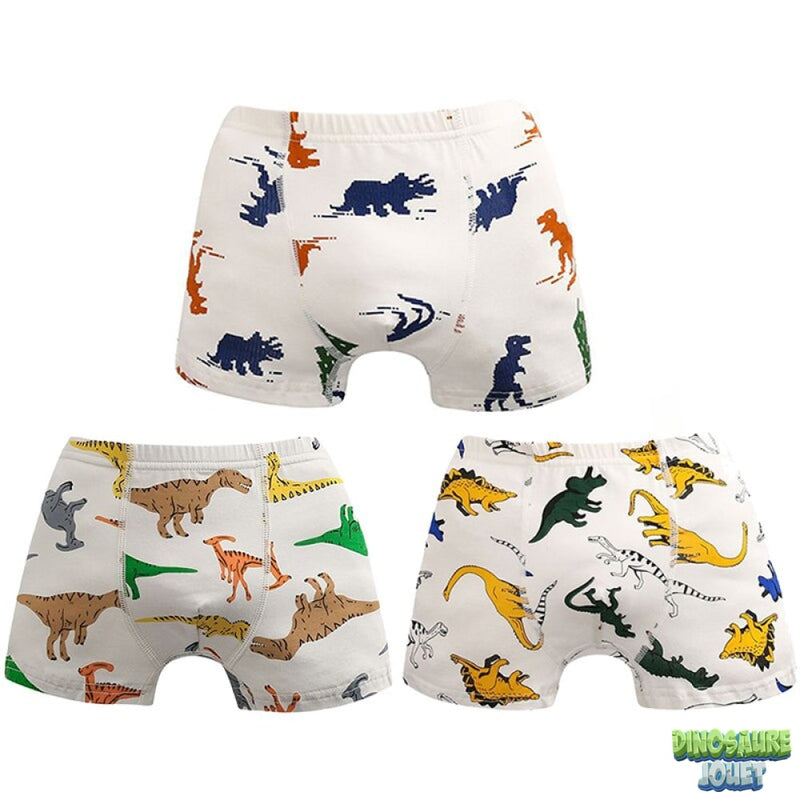 Calecon dinosaure on sale