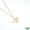 Collier pendentif dinosaure T-rex