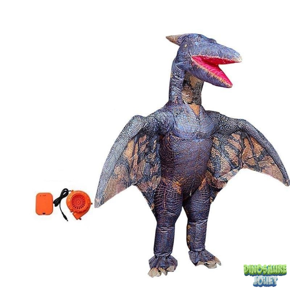 Adulte/Enfant Costumes gonflables dinosaure gonflable T-Rex Costume de  marche - Chine Costumes gonflables et gonflable Costume prix