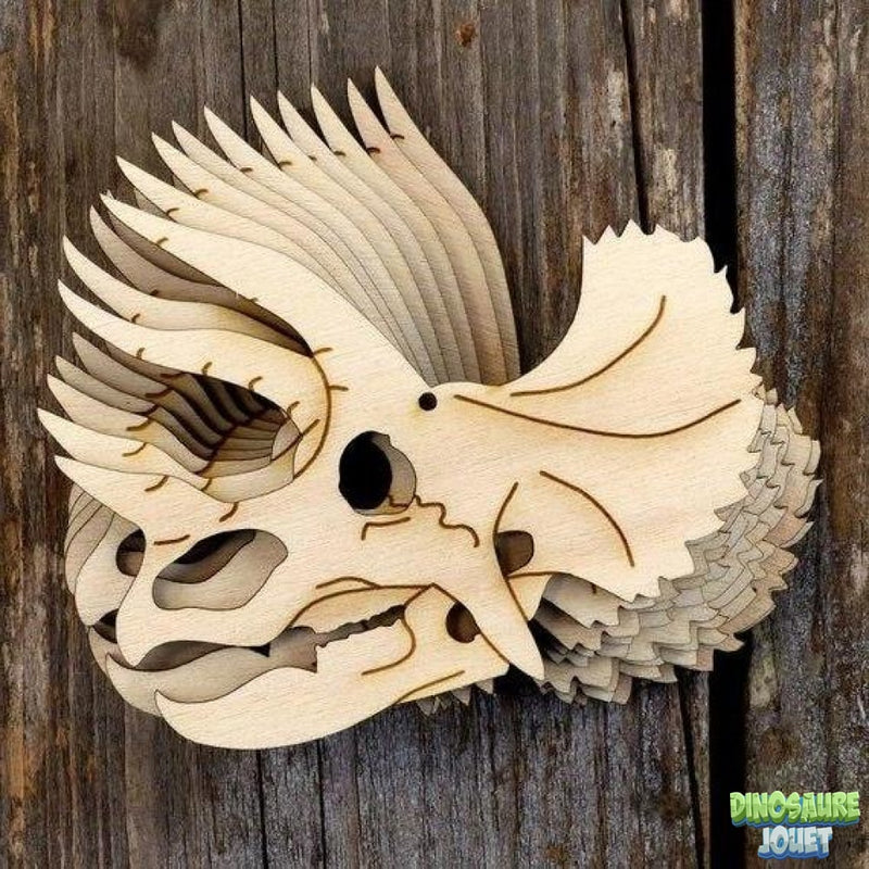 Crâne de Dinosaure en bois