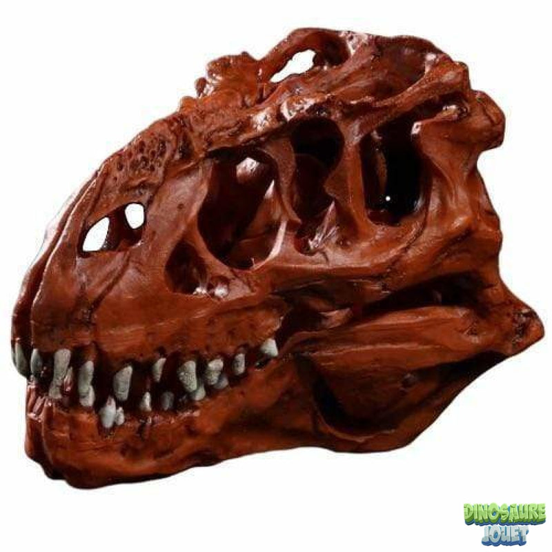 Crâne de T-rex en Résine