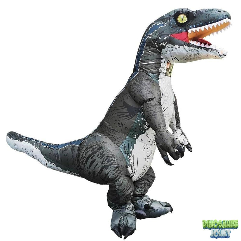 Déguisement de Dinosaure Raptor