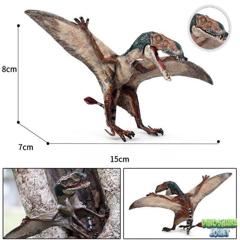 Dimorphodon figurine