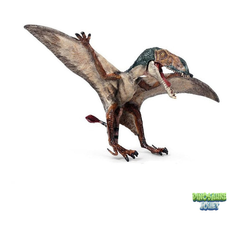 Dimorphodon figurine