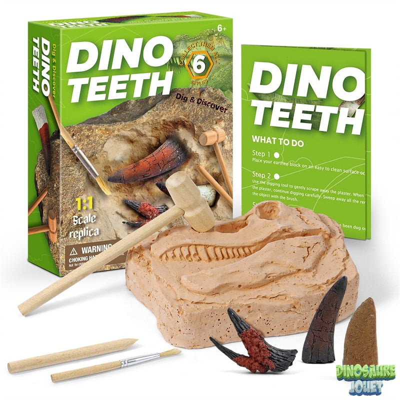 Dino excavation kit dents