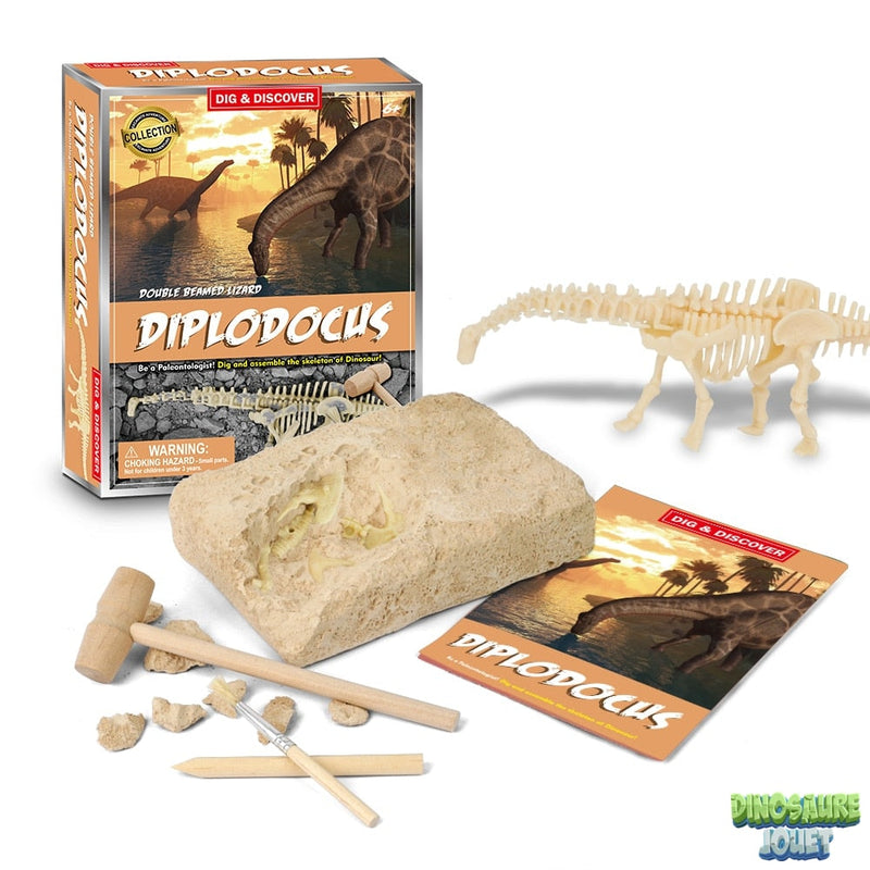 Dino excavation kit diplodocus