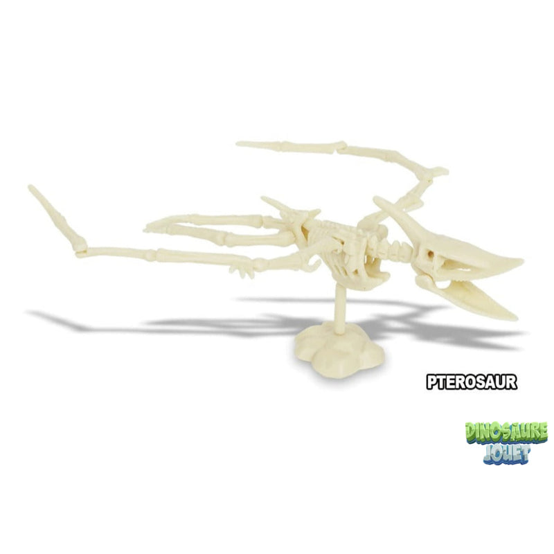 Dino excavation kit ptérosaure