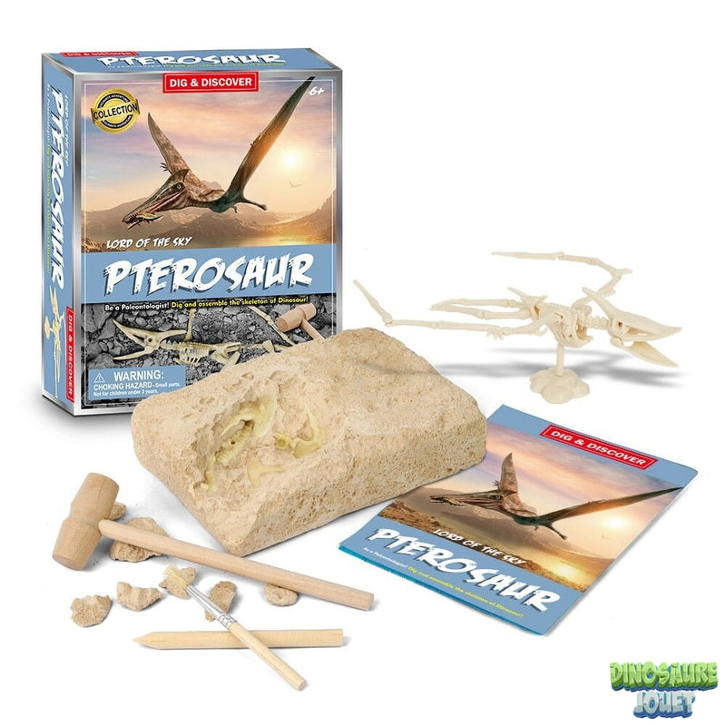 Dino excavation kit ptérosaure