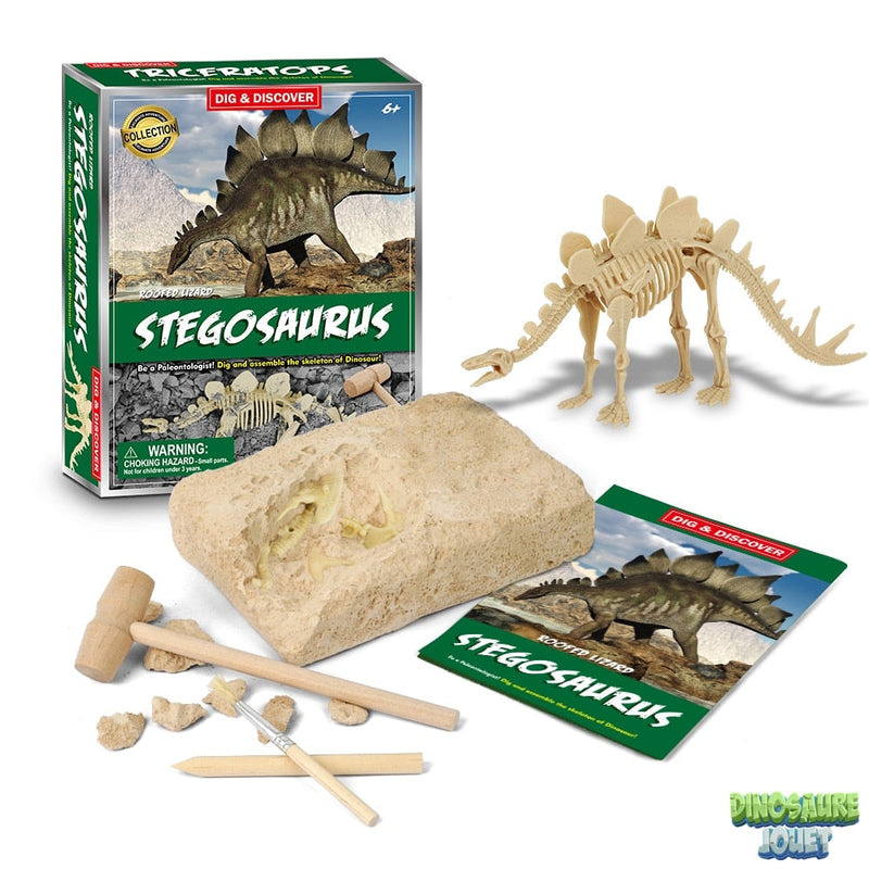 Dino excavation kit stégosaure