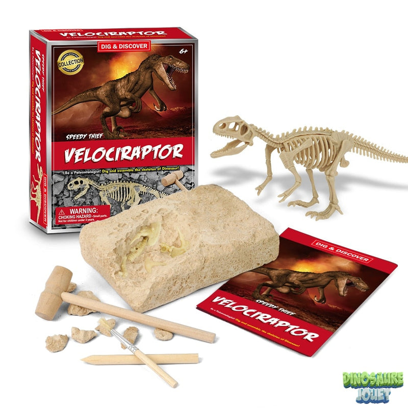 Dino excavation kit vélociraptor