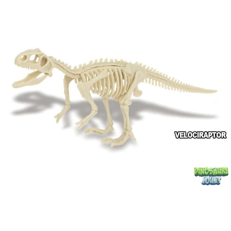 Dino excavation kit vélociraptor