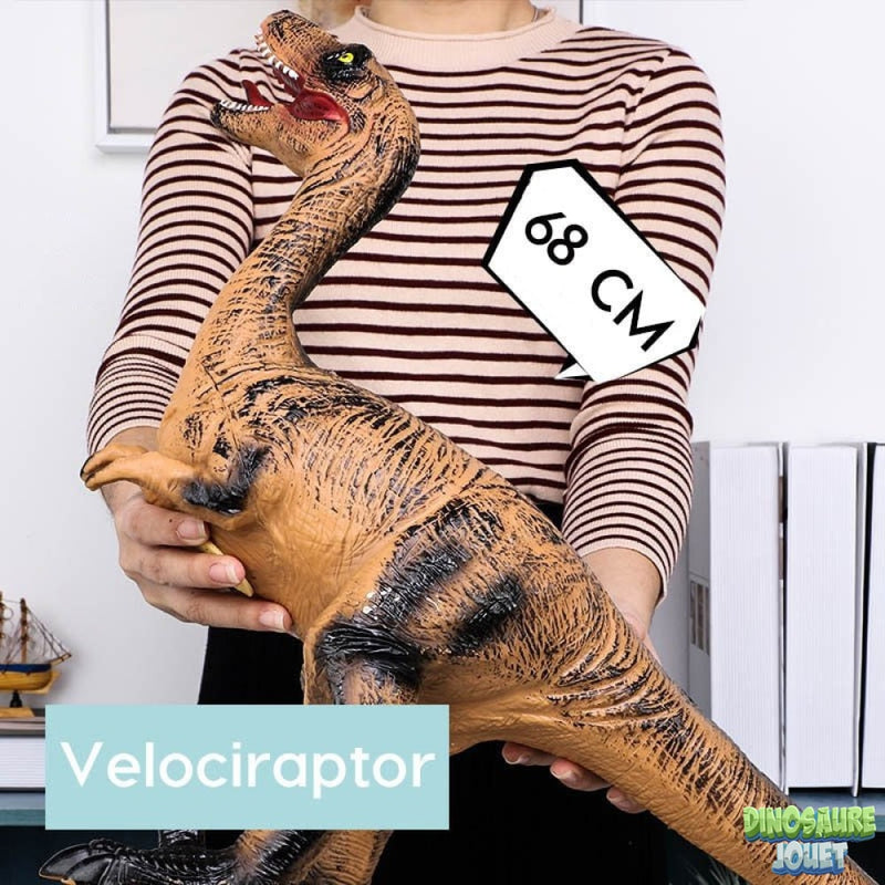 Dinosaure sonore vélociraptor