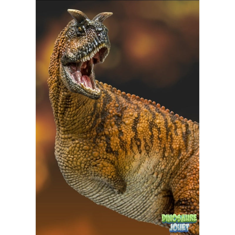 Figurine collection Dinosaure carnotaure