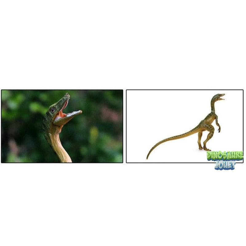 Figurine dinosaure compsognathus