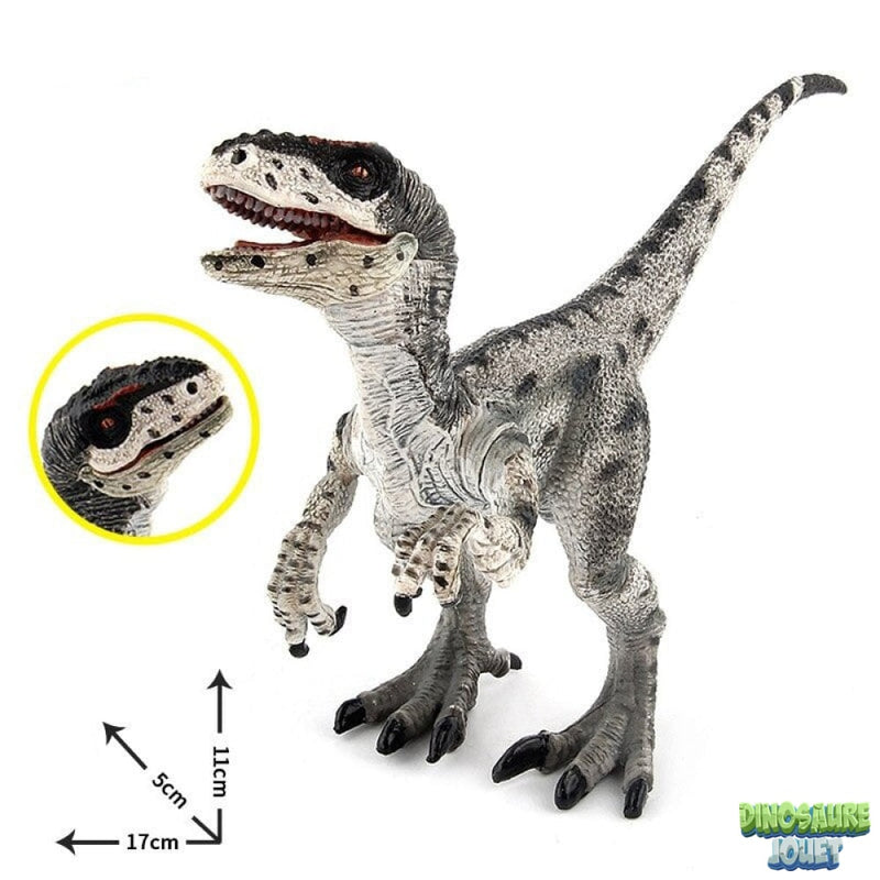Figurine raptor