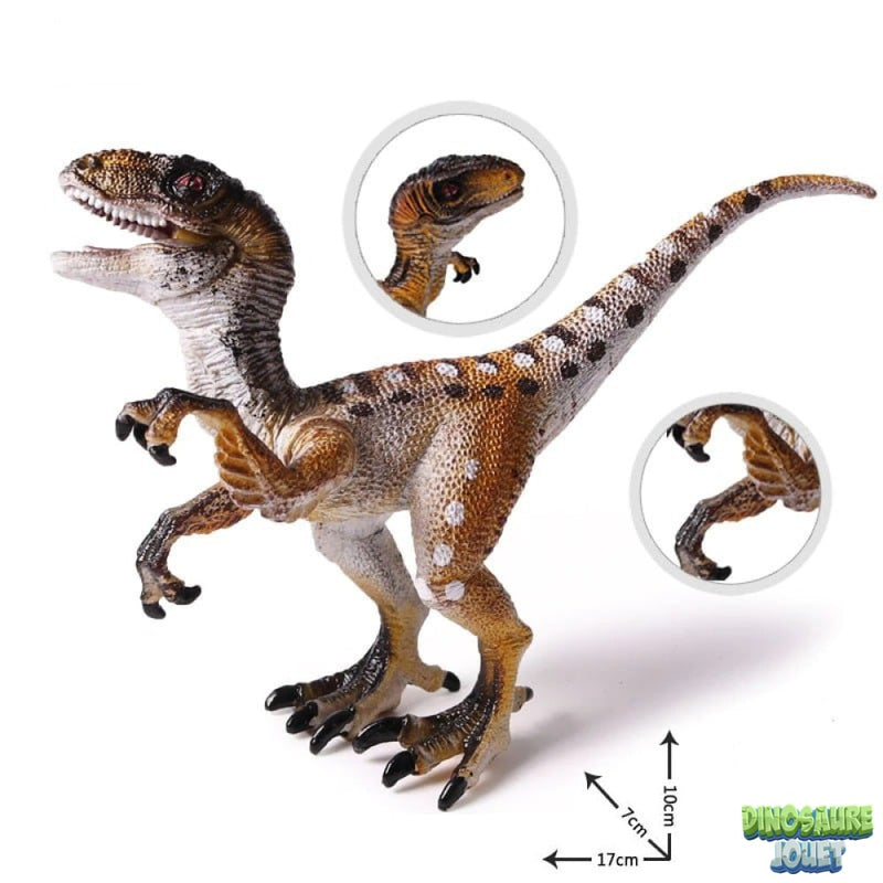 Figurine raptor